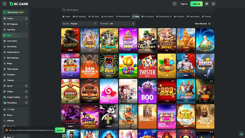 bcgame slots screenshot