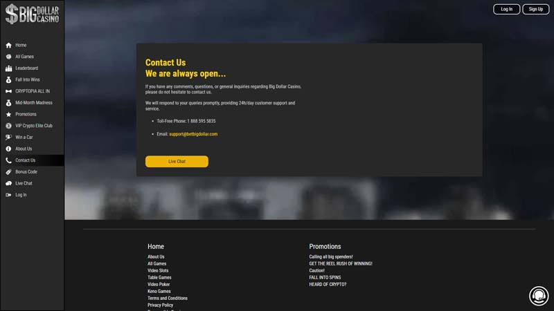 big-dollar-casino support screenshot