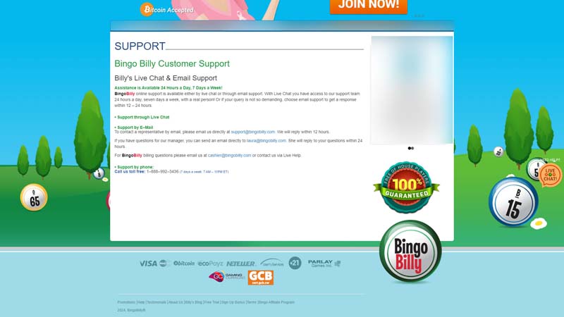 bingobilly-casino support screenshot