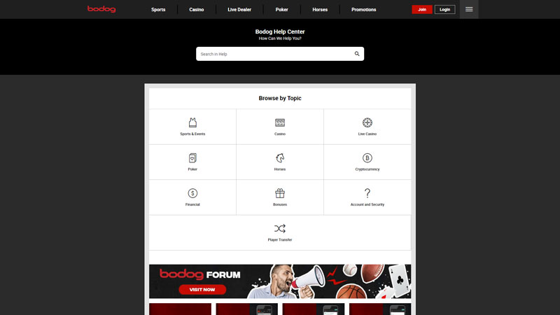 bodog support screenshot
