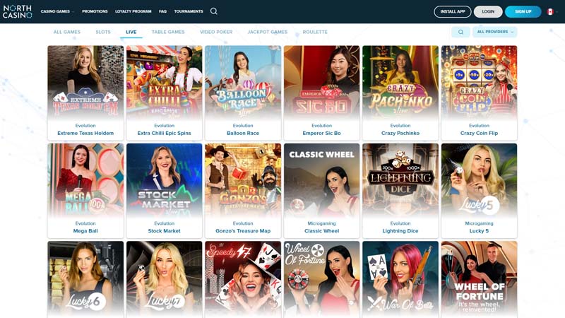 north-casino live screenshot