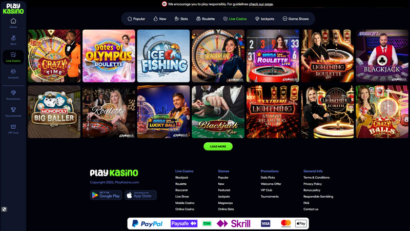 playkasino live screenshot
