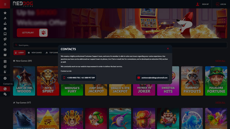 red-dog-casino support screenshot