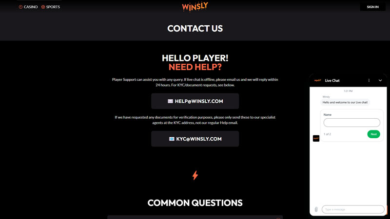 winsly support screenshot