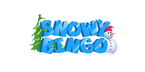 Snowy Bingo Casino bonus codes